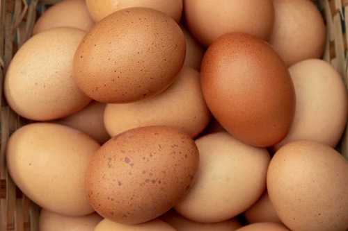 High Protein Brown Eggs Egg Origin: Chicken