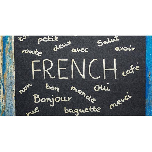French Language Translation Service By Traducson Language Services LLP