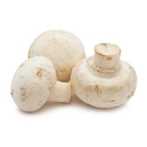 Creamy Healthy And Natural Button Mushroom