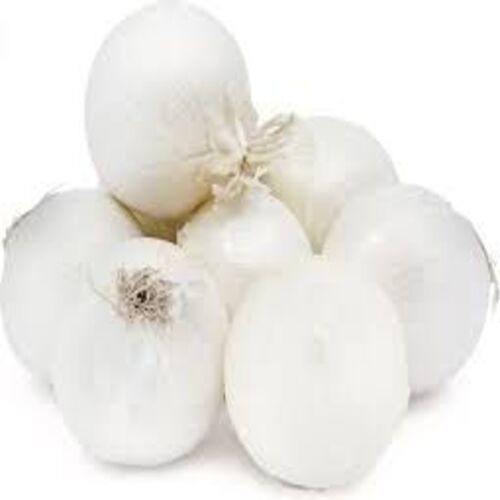 Round Healthy And Natural Fresh White Onion