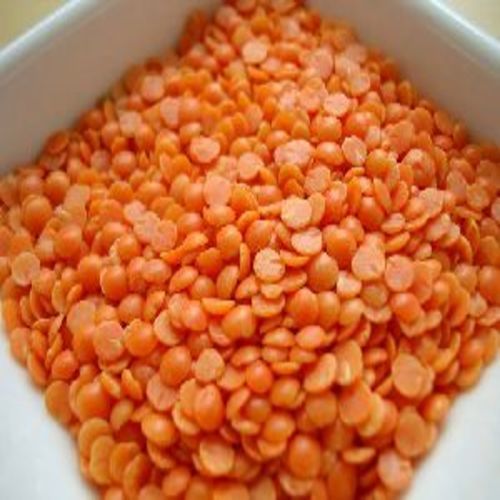 Organic Healthy And Natural Red Lentils