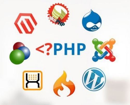 P Web Development Service