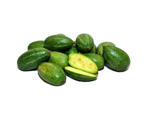 Healthy and Natural Fresh Pointed Gourd