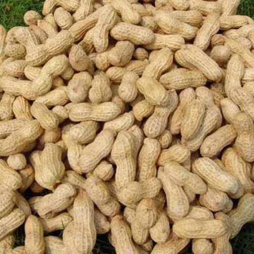 Organic Indian Natural Ground Nuts