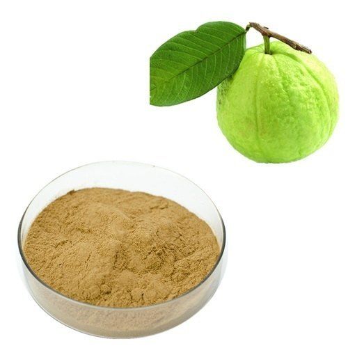 Creamy White Organic Dried Guava Powder