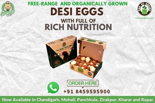 Free Range Country Desi Eggs