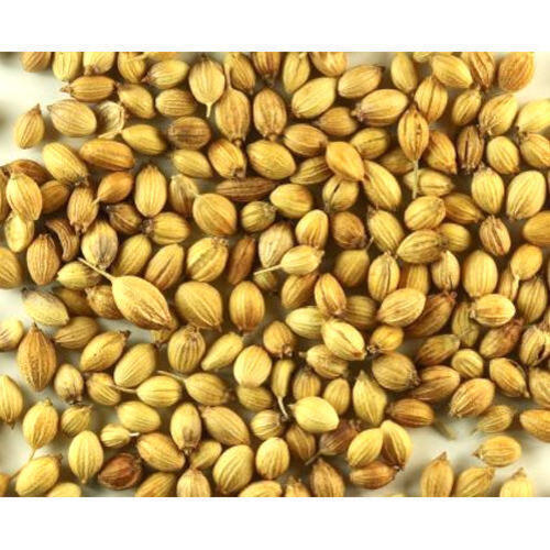 Healthy And Natural Whole Coriander Seeds Admixture (%): 2 %