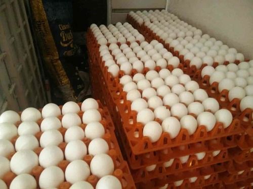 Natural Farm Fresh Eggs