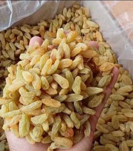 Export Quality Dried Green Raisins