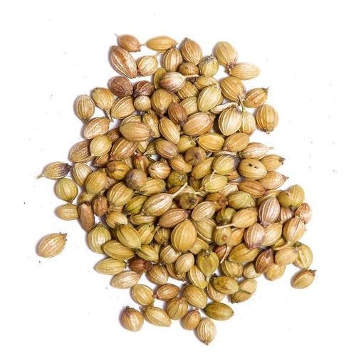 Organic Healthy And Natural Coriander Seeds