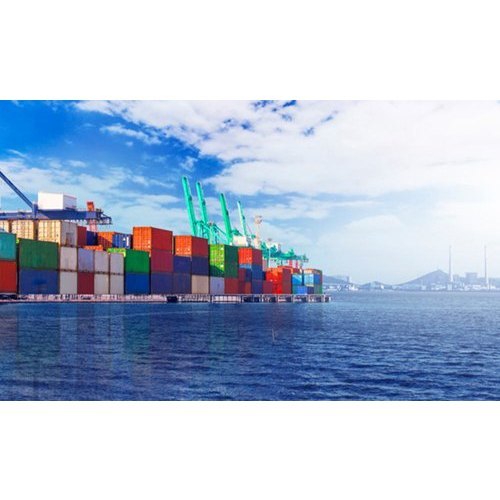 Sea Customs Clearance By Professional Impex Pvt Ltd.