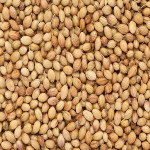 Healthy and Natural Coriander Seeds