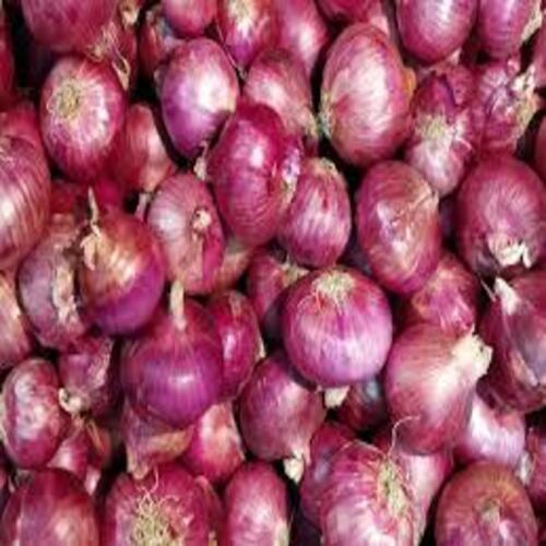 Healthy And Natural Fresh Red Onion