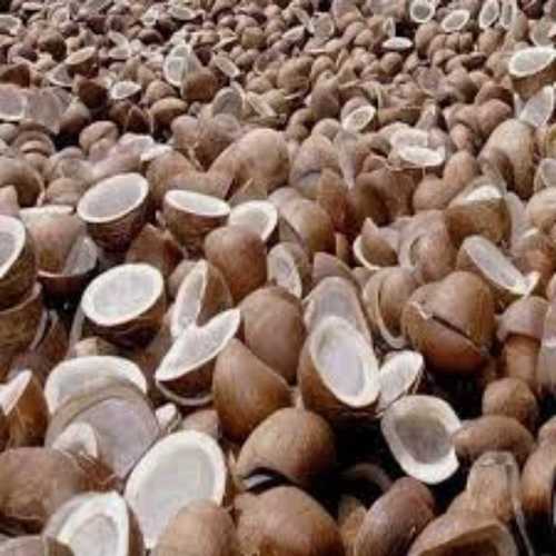 Organic Bulk Dried Coconut Copra