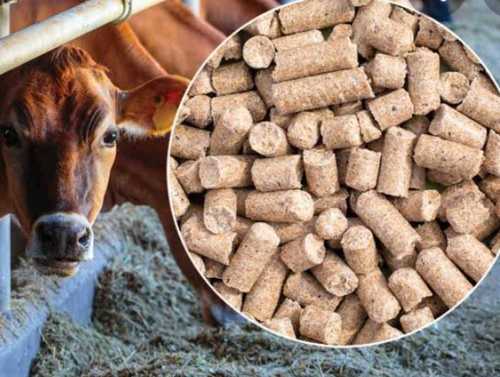 Tablet High Protein Cattle Feed