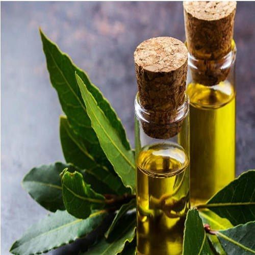 Organic Fresh Bay Leaf Essential Oil