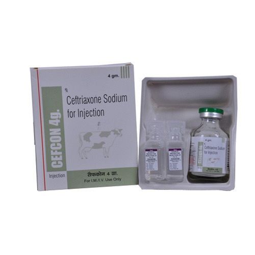 Ceftriaxone Sodium Veterinary Injection 4gm