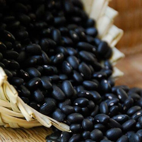 Organic Healthy And Natural Black Matpe Beans