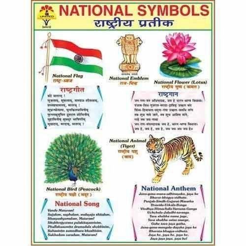 Multicolor India National Symbols Chart