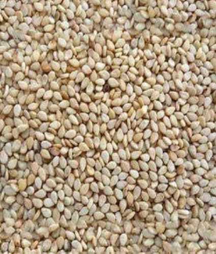 Organic White Sesame Seeds