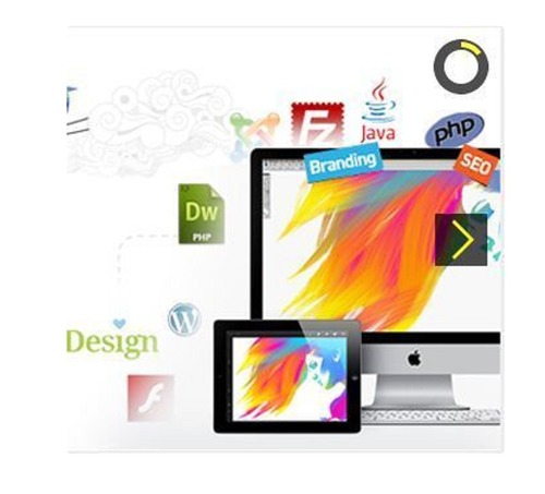 Customized Development Service