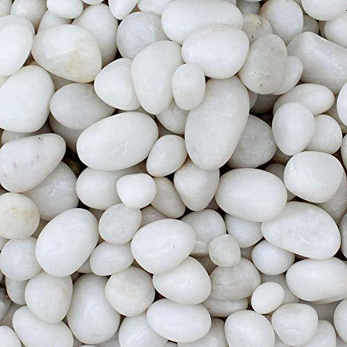 Natural White Cobblestones For Landscaping And Pavement Size: Various Sizes Available