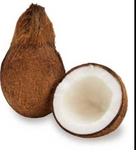 A Grade Brown Fresh Coconut