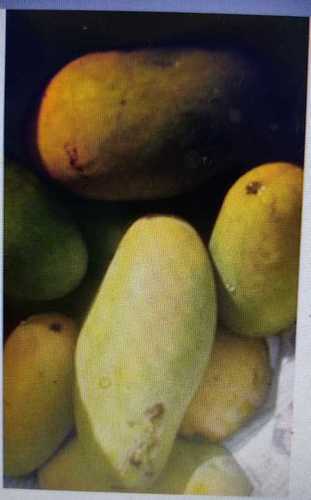 Silver Rich Taste Organic Fresh Mango