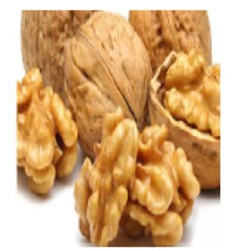 Oil Seeds Shelled Groundnut