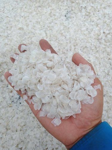 Glass Dried Fish Scale For Collagen Production