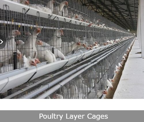 Easy To Clean Poultry Layer Cages