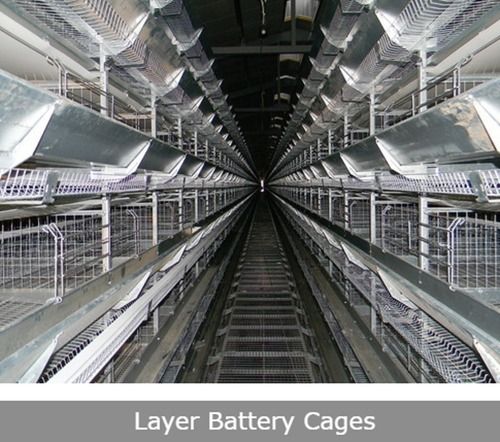 GI Layer Battery Cages