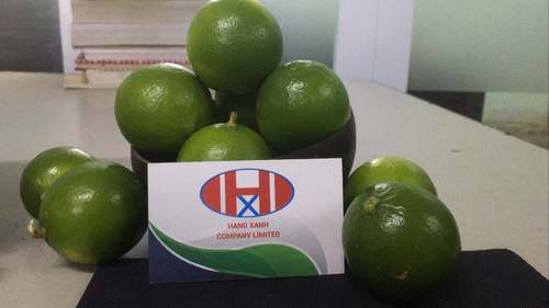 Seedless Lime Fresh Green