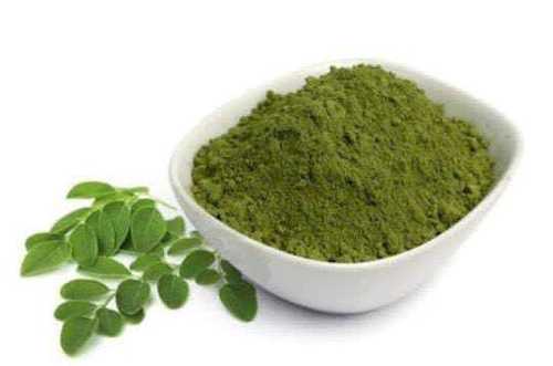 Pure Quality Moringa Powder