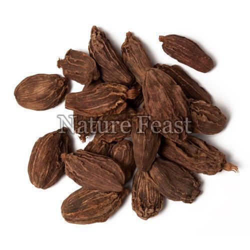 Black Cardamom - Big Pods, Well-Dried | Natural Taste, Non Harmful, Food Grade, 18-Month Shelf Life