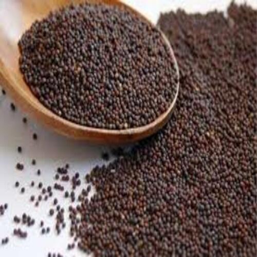 Healthy and Natural Brown Mustard Seeds