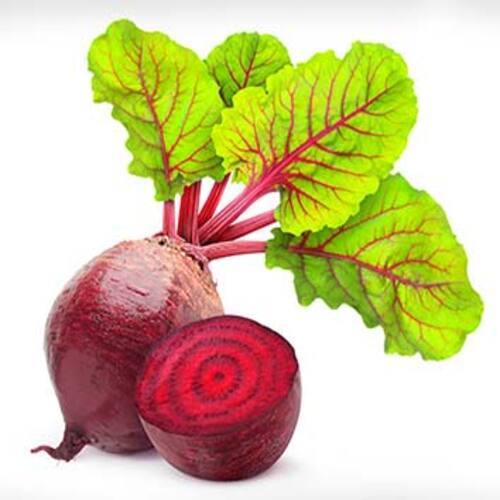 Healthy and Natural Fresh Beetroot