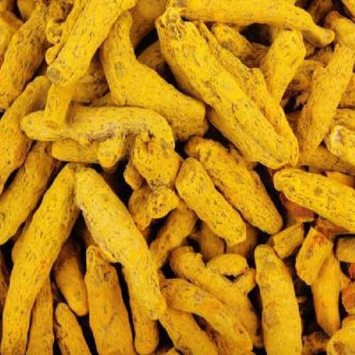 Yellow Healthy And Natural Turmeric Finger