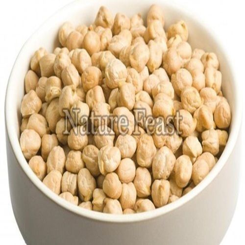 Healthy And Natural White Chickpeas