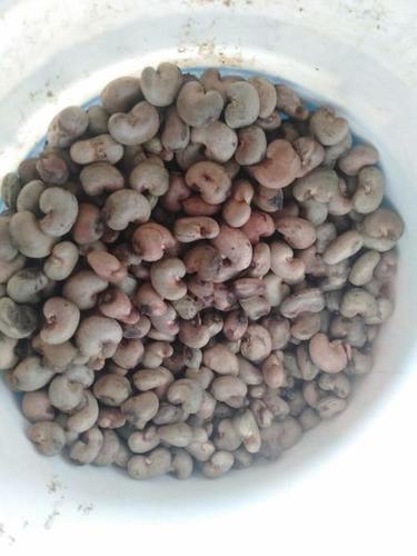 raw cashew nuts