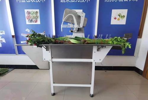 Manual Automatic Vegetable Flower Noodles Binding Machine