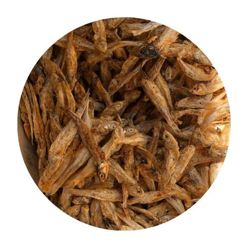 Dried Whole Round Anchovy Shelf Life: 24 Months