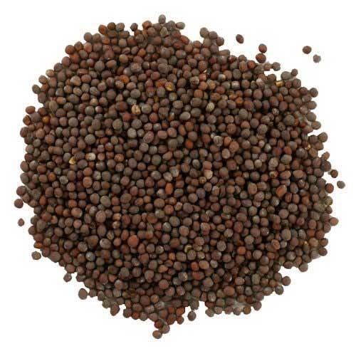 Healthy And Natural Brown Rai Seeds