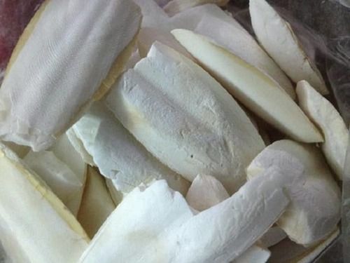 Sliced High Quality Cuttlefish Bone