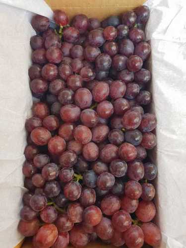 A Grade Black Grapes