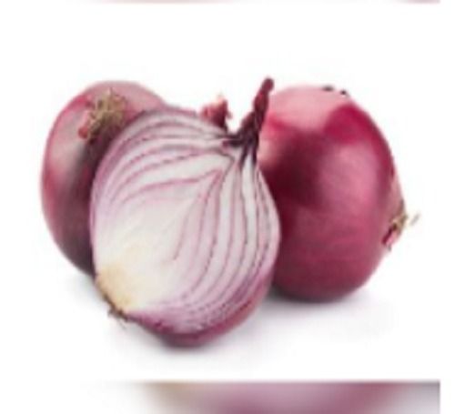 Fresh Red Onion