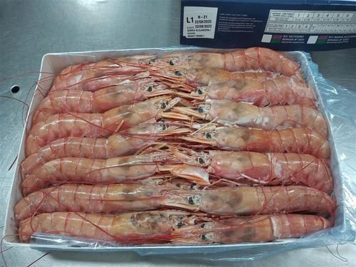 Frozen Argentine Red Shrimps Shelf Life: 24 Months