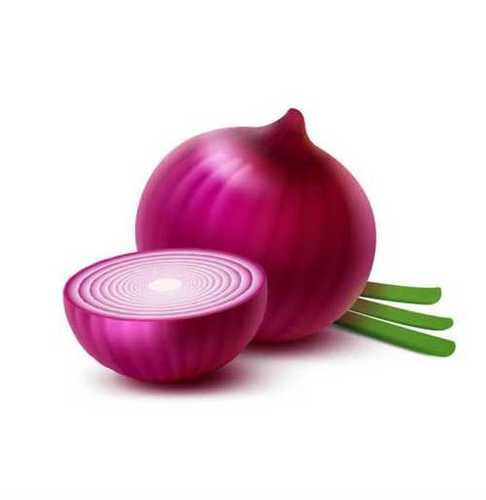 Medium Size Red Onion 