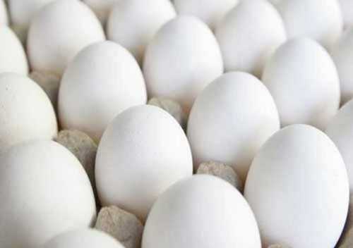 Common White Chicken Egg