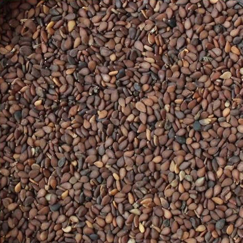 Brown Sesame Seeds - Organic Food Grade, Non Harmful, Natural Taste, Storage in Cool and Dry Place